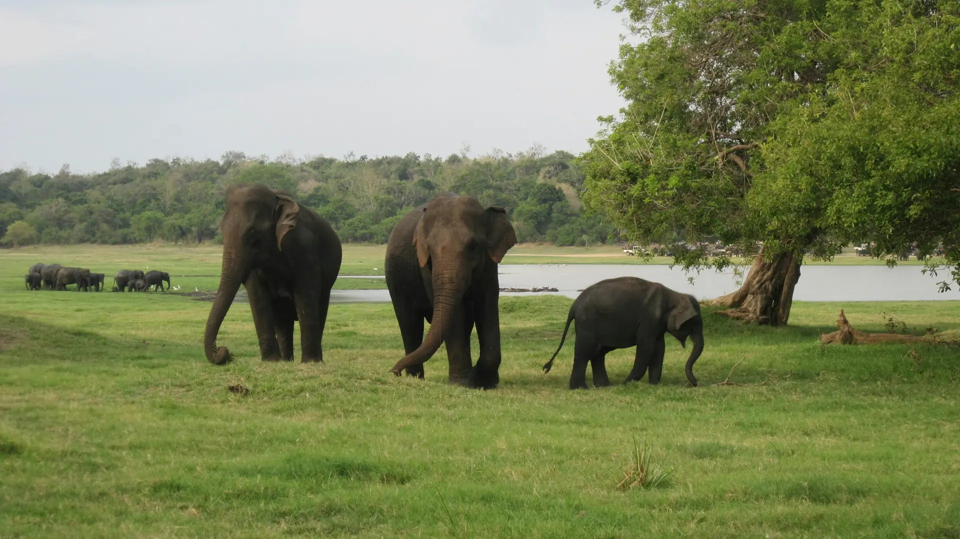Apex Ceylon: The Ultimate Active Expedition - Sri Lanka Multi-Day Tour