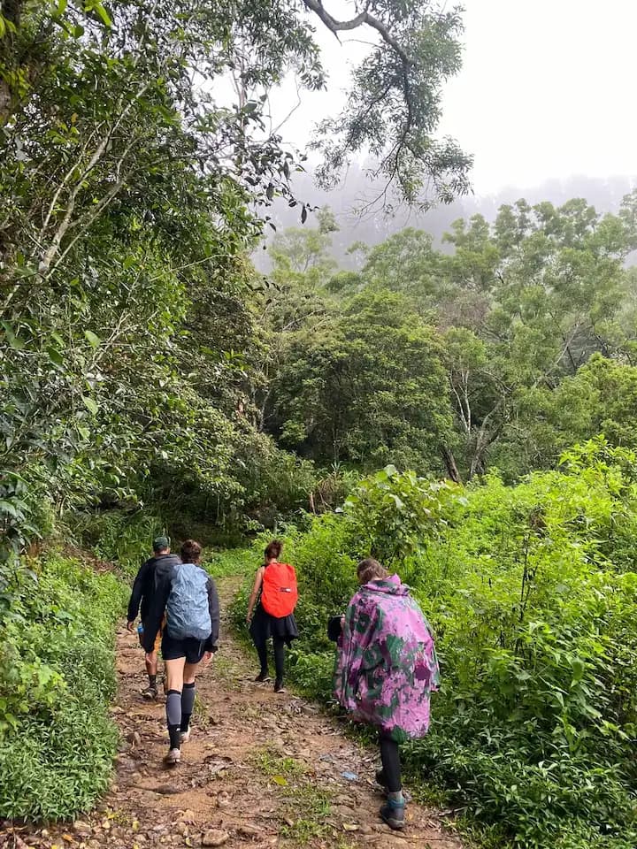 Scenic rock climbing adventure view in Sri Lanka