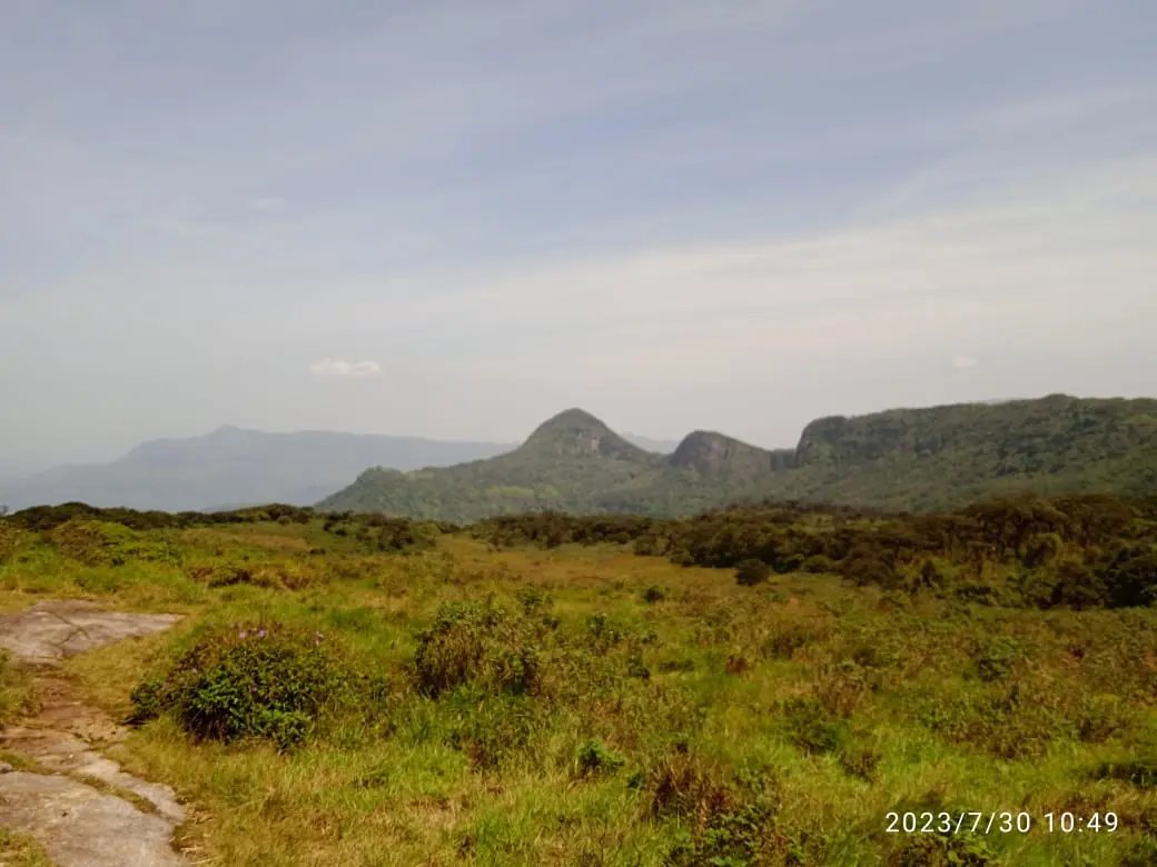 Knuckles Summit View