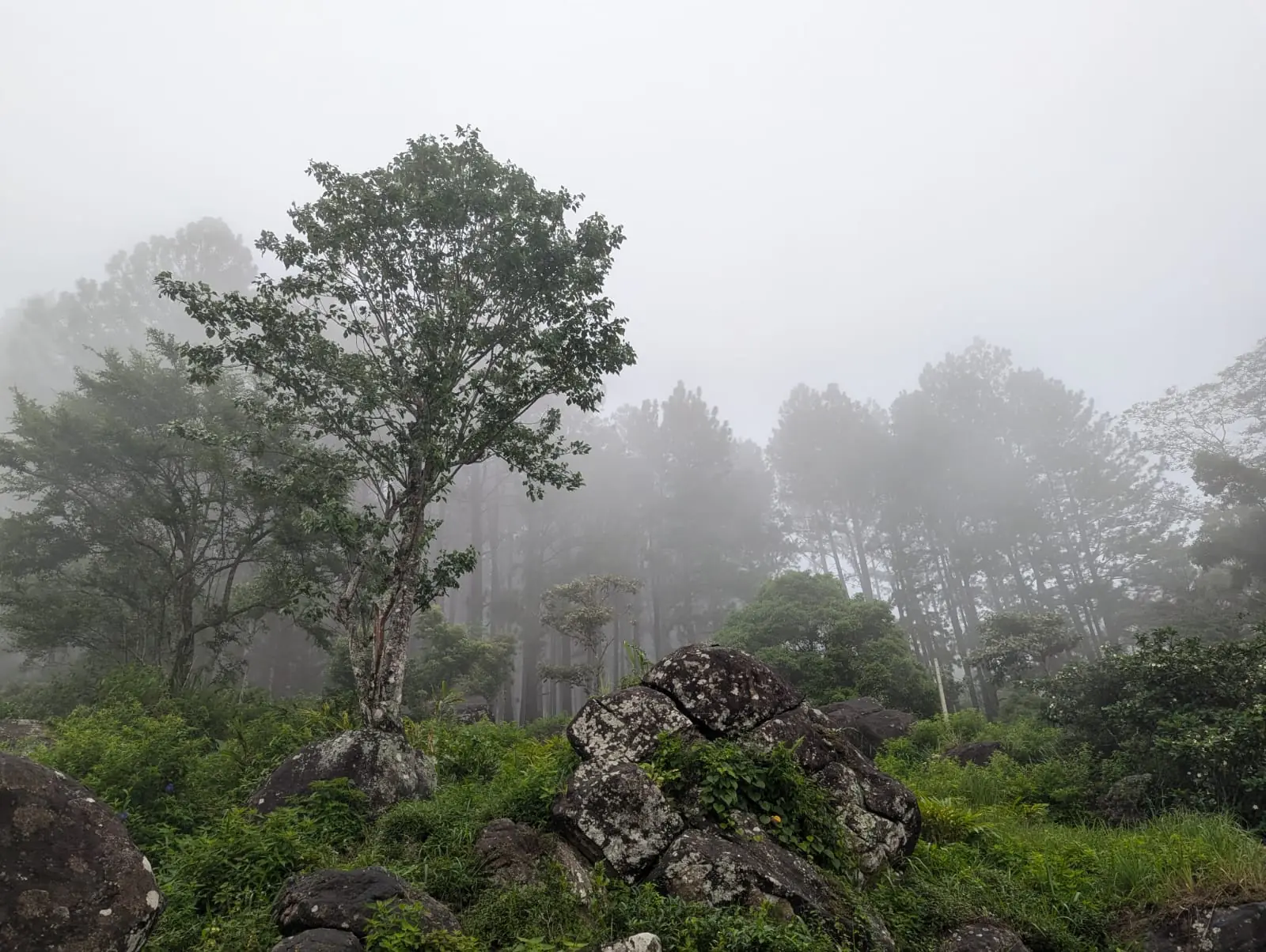 Knuckles Mountain Range Wilderness Camping